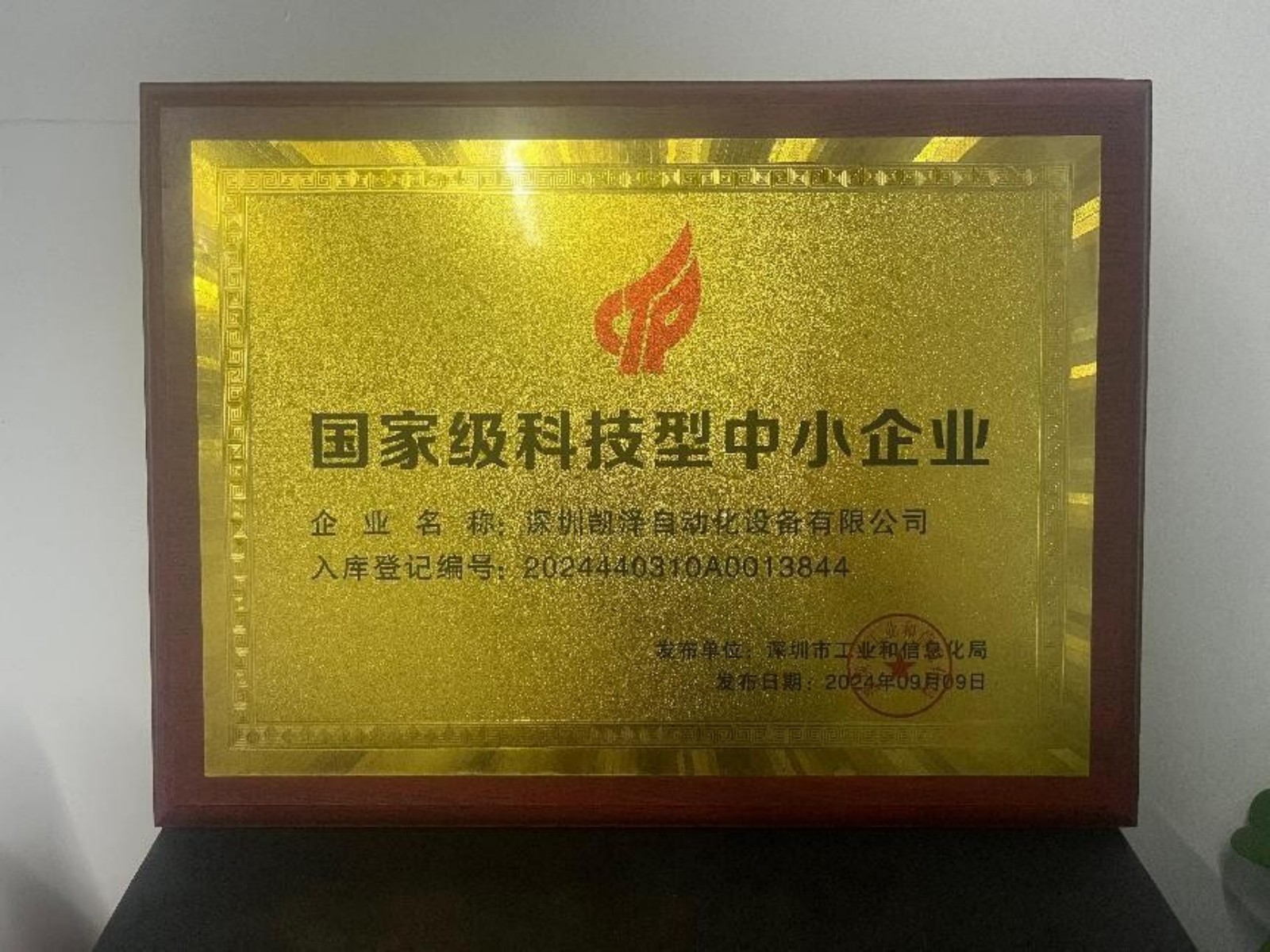 国家级科技型中小企业